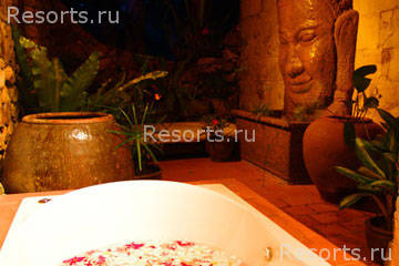 Coconut Laguna 8